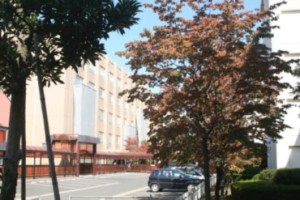 学園内はすっかり秋の装いです