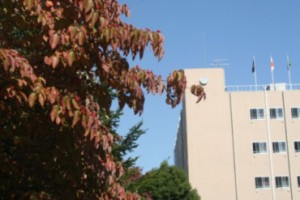 学園内はすっかり秋の装いです
